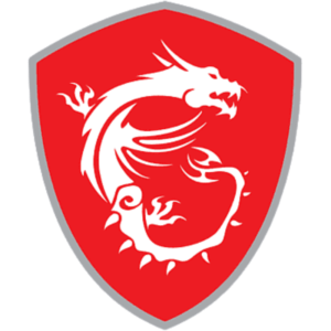 MSI Windows PC
